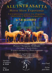 ALL'INTRASATTA': horse show experience