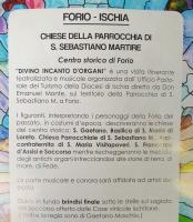 divino-incanto-dorgani-ok